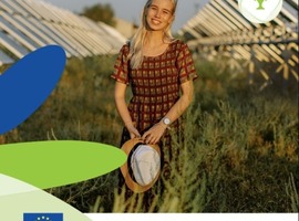 Увага, голосування