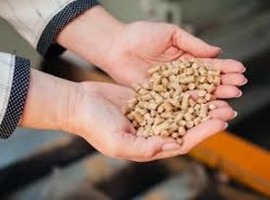 Оголошено відбір муніципальних проектів у сфері теплопостачання, що використовують  аграрну  біомасу (II черга) для  надання технічної допомоги від проекту  ПРООН.