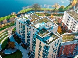 Як Лондон пристосовується до кліматичних змін. Інструкція забудовникам від мерії