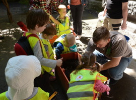 Команда АЕМУ долучилася до Європейського тижня сталої енергії висадкою топінамбура!